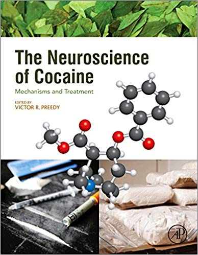 The Neuroscience of Cocaine Mechanisms and Treatment